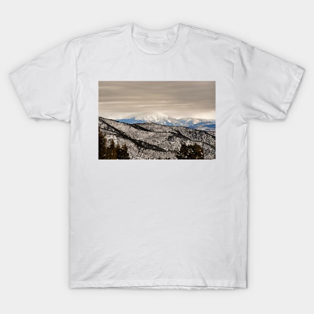 Glenwood Springs Park View T-Shirt by bobmeyers